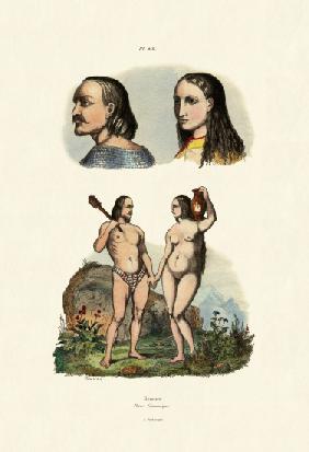 Caucasians 1833-39