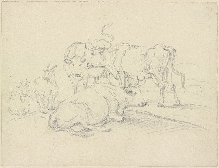 Kühe und Ziegen von Friedrich Wilhelm Hirt