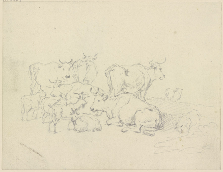 Kühe und Ziegen von Friedrich Wilhelm Hirt