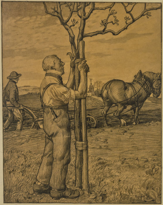 Gärtner, einen Baum anbindend von Fritz Boehle