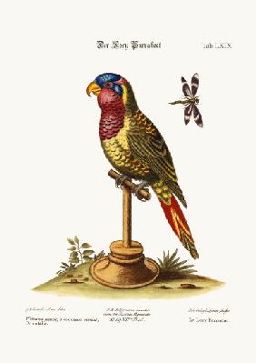 The Lory-Parrakeet 1749-73