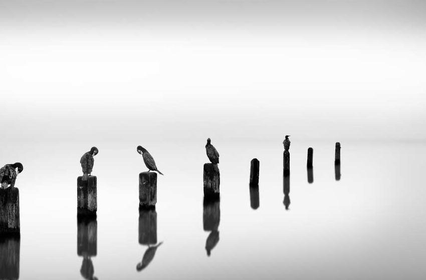 George Digalakis