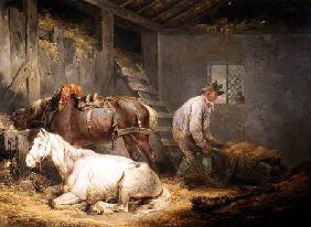 Horses in a stable