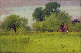 Apple Orchard 1892