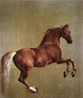 "Whistlejacket" 1762