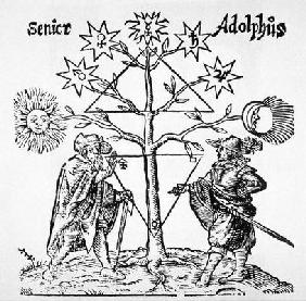 Alchemical Tree, Diagrammatic and Emblematic, from 'Museum Hermeticum' by Thomas Norton (1749) illus 20th