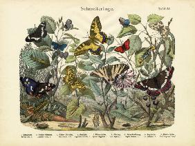 Butterflies, c.1860