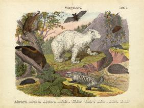 Mammals, c.1860