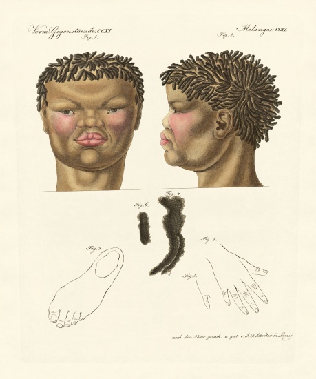 The hottentot or bushman von German School, (19th century)