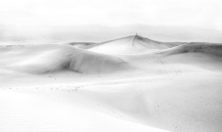 Mesquite Flat,Death Valley