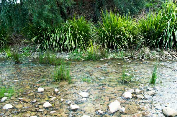 Quiet stream von Giulio Catena