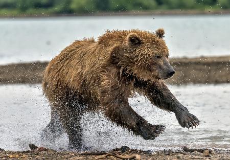 Auf der Flucht