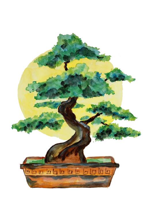 Bonsai Baum und Sonnenschein von Sebastian  Grafmann