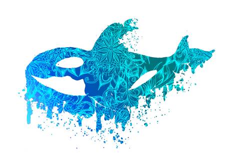 Blue Floral Orca Killerwhale 2019
