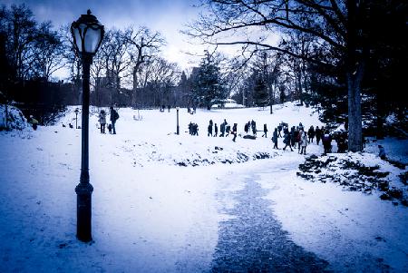 The Tourists in the Snow 2017