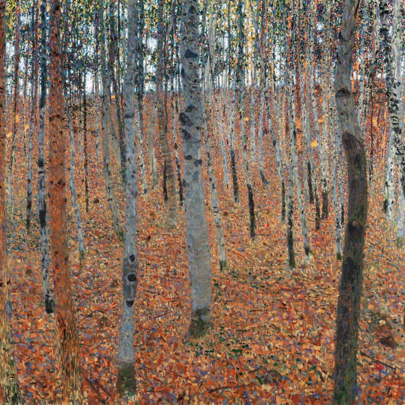 Birkenwald von Gustav Klimt