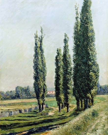 Pappeln auf dem Damm von Gustave Caillebotte