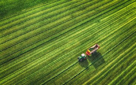 Landwirtschaft