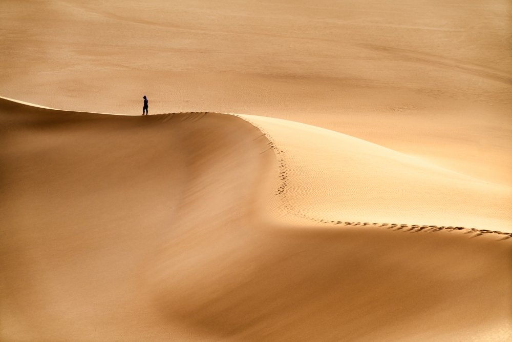 Mensch und Wüste von Hamid Jamshidian