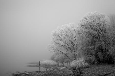 Ein nebliger Tag am See