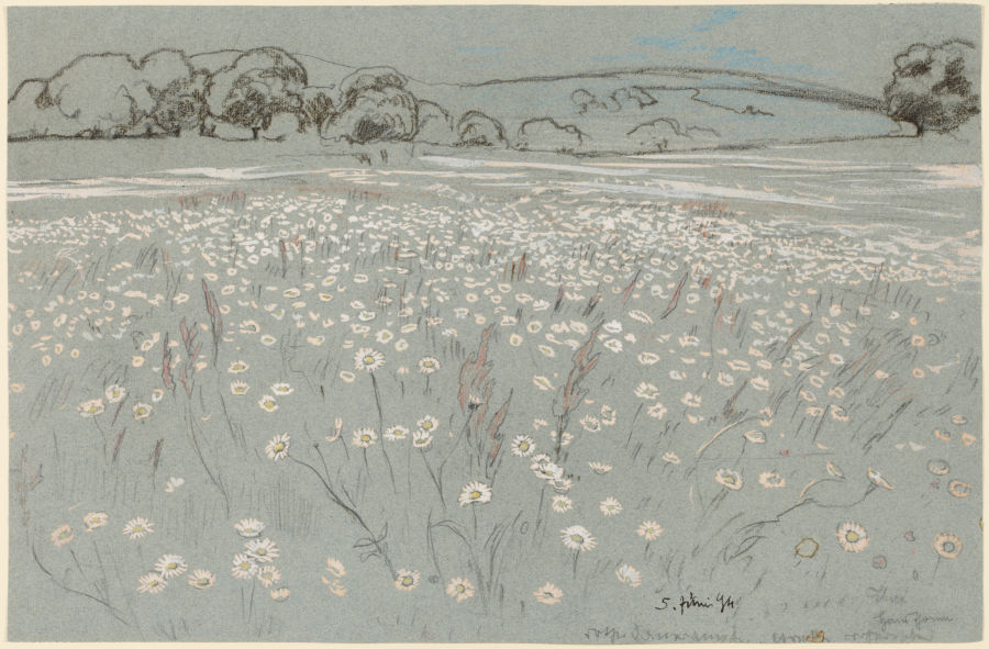 Wiese mit Margeriten von Hans Thoma