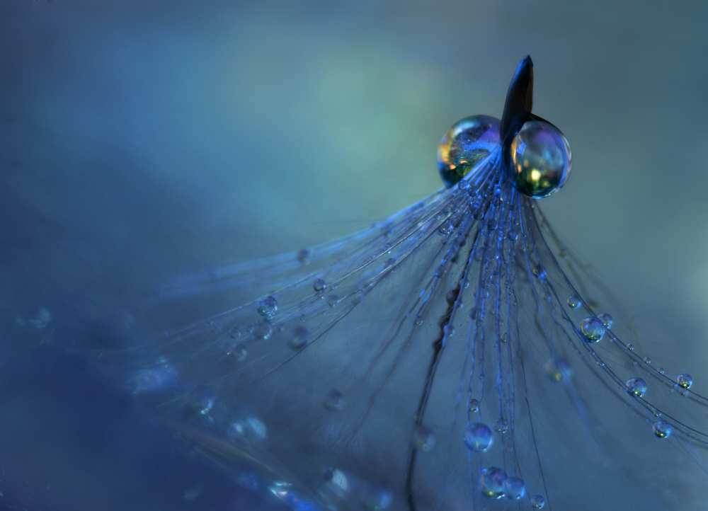 Dancing into the blue night von Heidi Westum