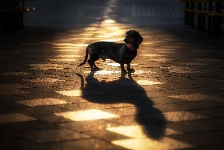 Kluftinger und sein Schatten...