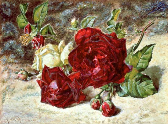 One White and Two Red Roses and Buds von Helen Cordelia Coleman Angell