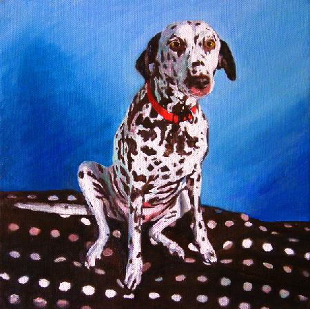 Dalmatian on spotty cushion 2011