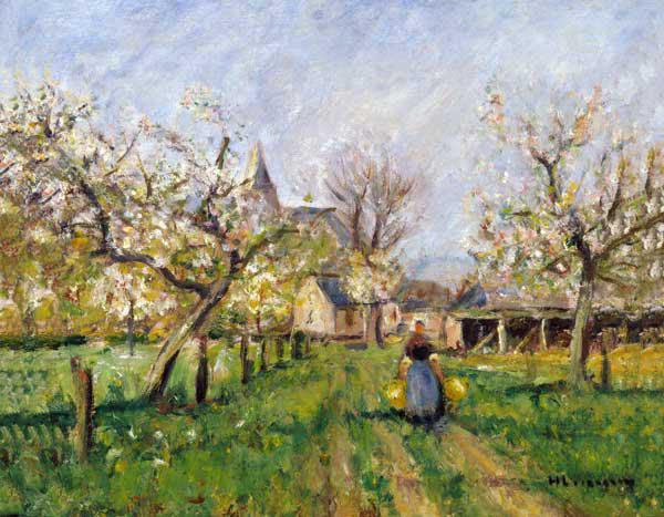 Obstblüte 1910-01-01