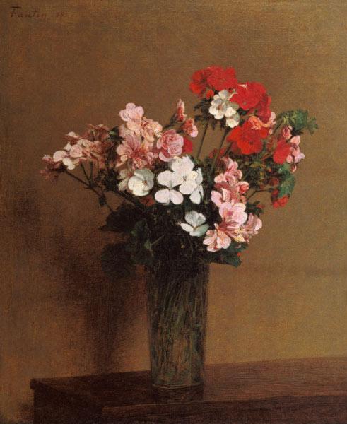 Geraniums 1888