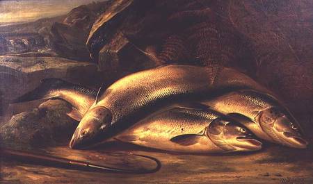 Still Life of Salmon von Henry Leonidas Rolfe