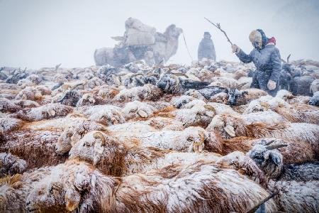 Winterzug und Schneestürme