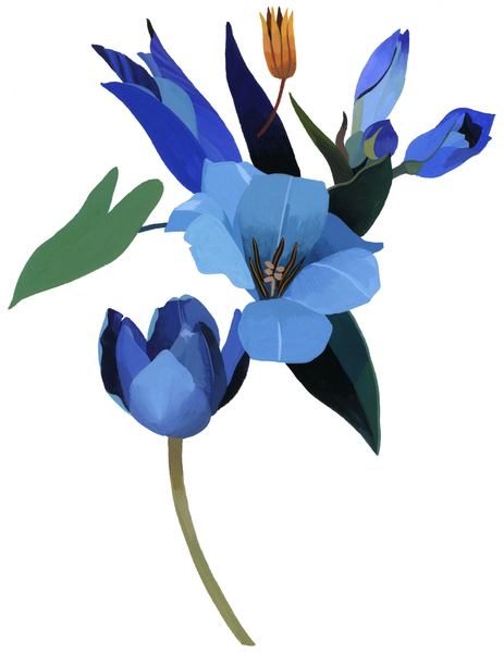 Tulips and blue flowers von Hiroyuki Izutsu