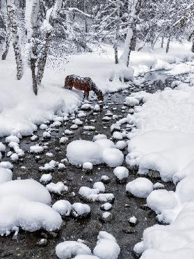 Im Schnee trinken