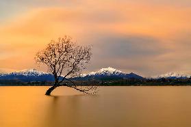 Morgenlicht des Lake Wanaka