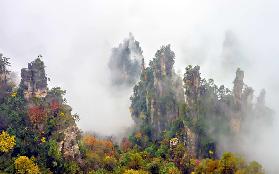 Zhang Jia Jie Fall Color