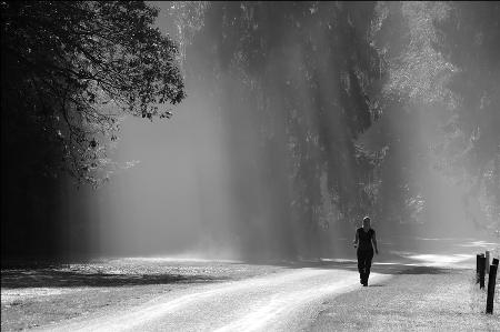 Herbst-Morgenspaziergang