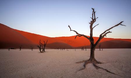 Deadvlei,Namibia