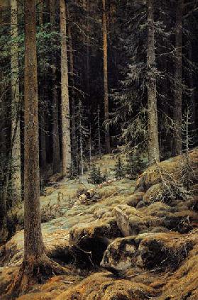 Shishkin / Forest Darkness / Painting