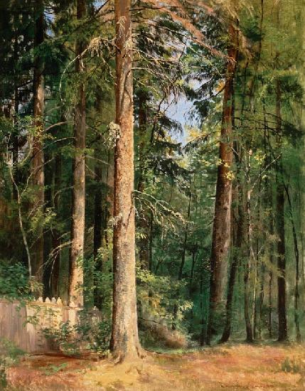 Forest 1892