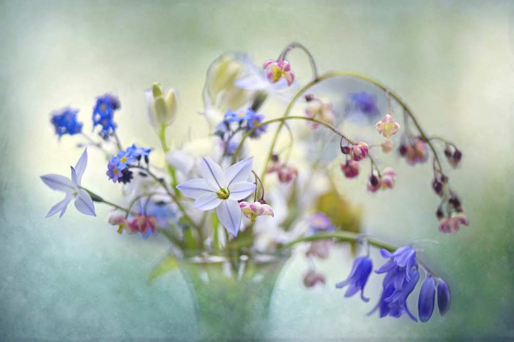 Spring Treasures von Jacky Parker