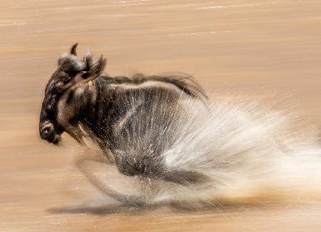 LANGSAMER VERSCHLUSS GNU