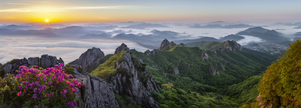 Blühende Berge im Mai von Jaeyoun Ryu