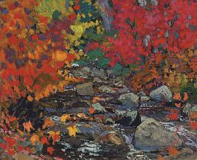 Autumn Leaves, Batchewana Wood