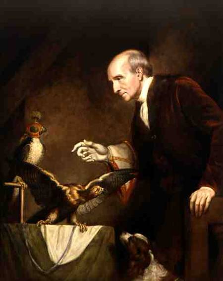 Self Portrait as a Falconer von James Northcote