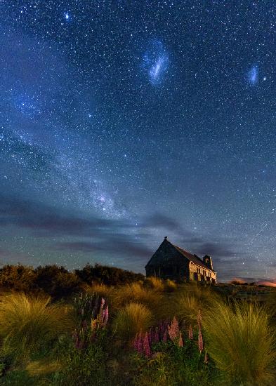 Lupinen-Milchstraße des Lake Tekapo