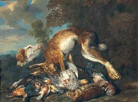 Wildbret und Jagdhund 1649