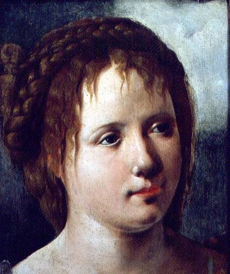 Head of a Girl von Jan van Scorel