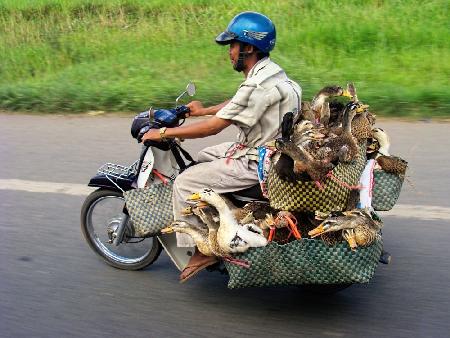 25 auf einem Motorrad